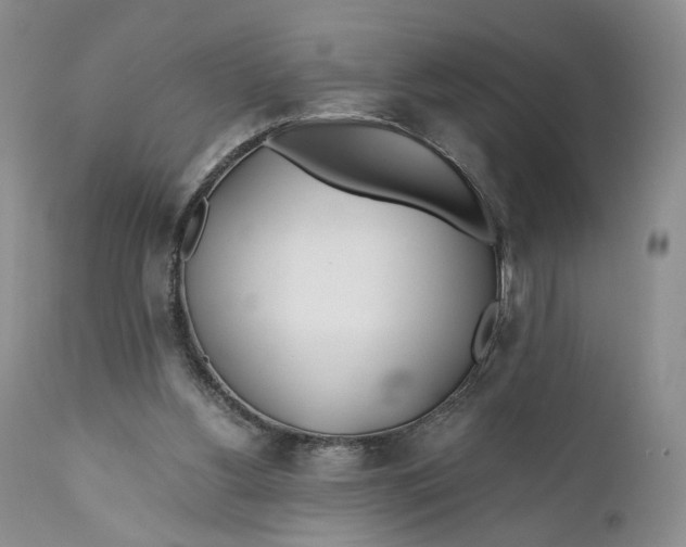 X0000110930156200907091529