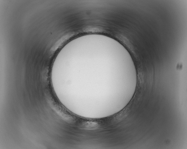 X0000110930159200907091529