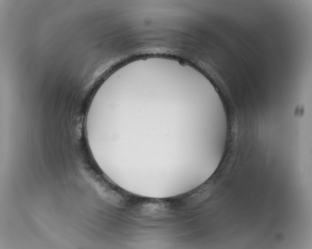 X0000110930160200907091529