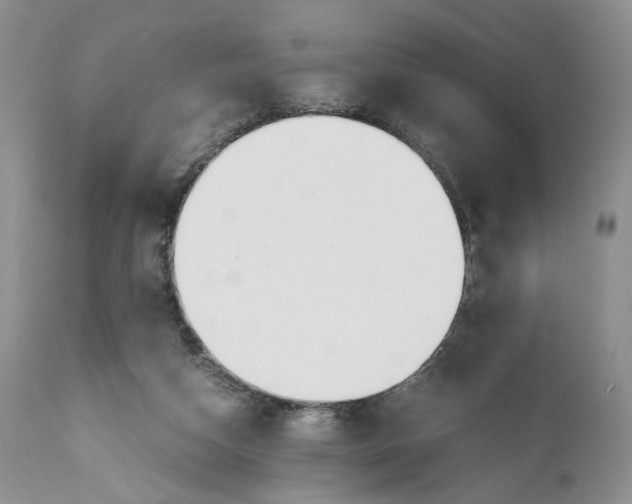 X0000110930162200907091529