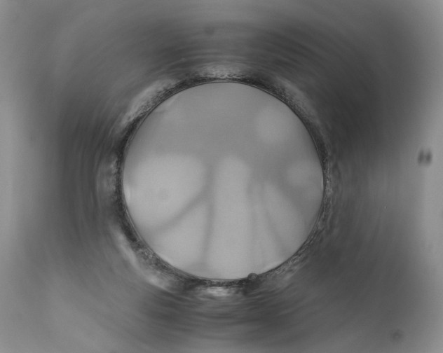 X0000110930163200907091529