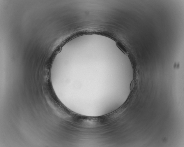 X0000110930164200907091529
