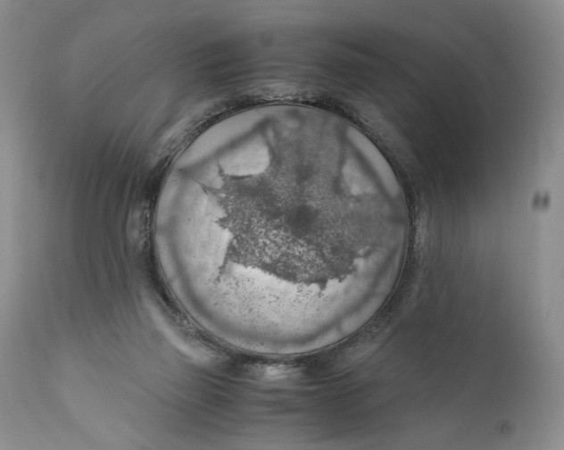 X0000110930165200907091529