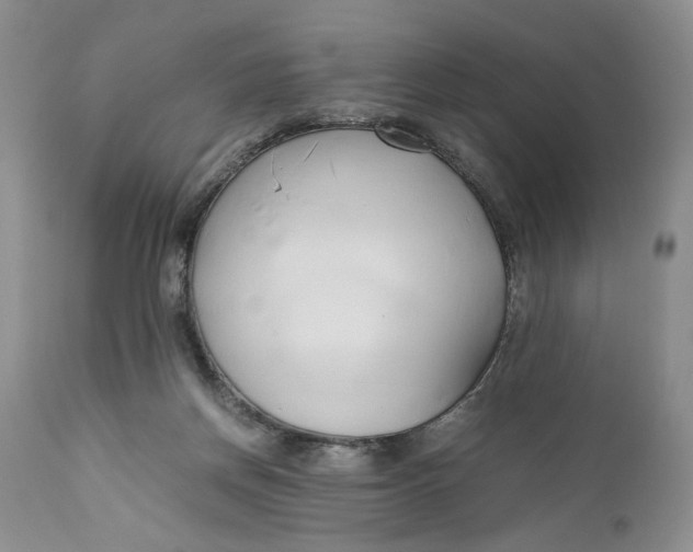 X0000110930166200907091529