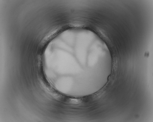 X0000110930167200907091529