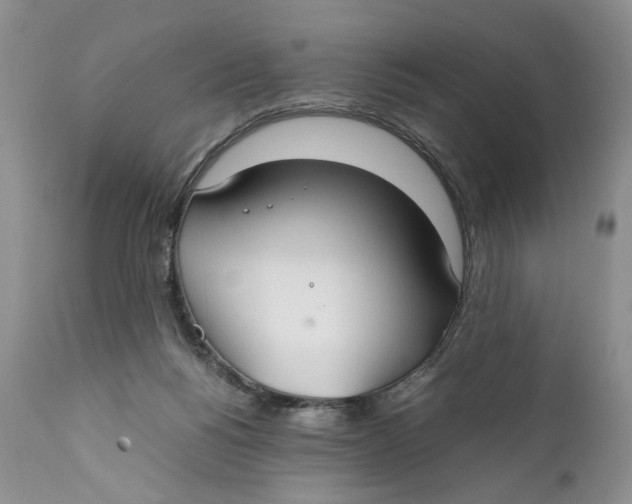X0000110930168200907091529