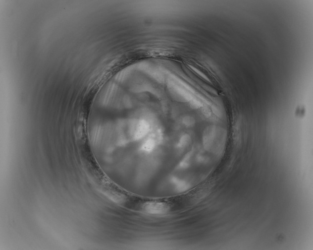 X0000110930169200907091529