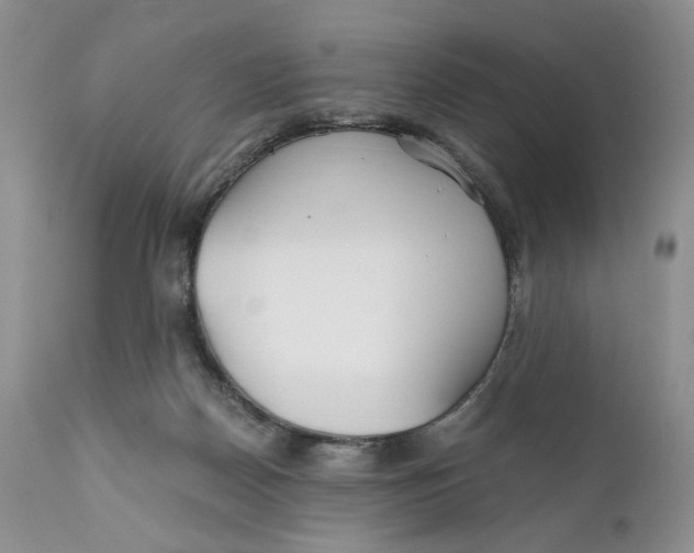 X0000110930170200907091529