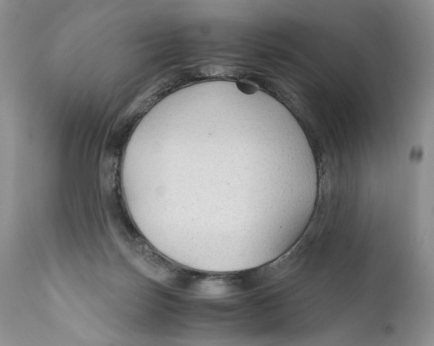 X0000110930171200907091529