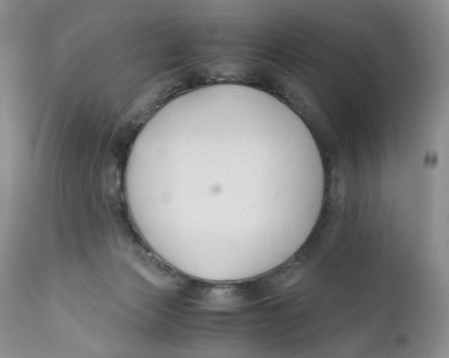 X0000110930173200907091529