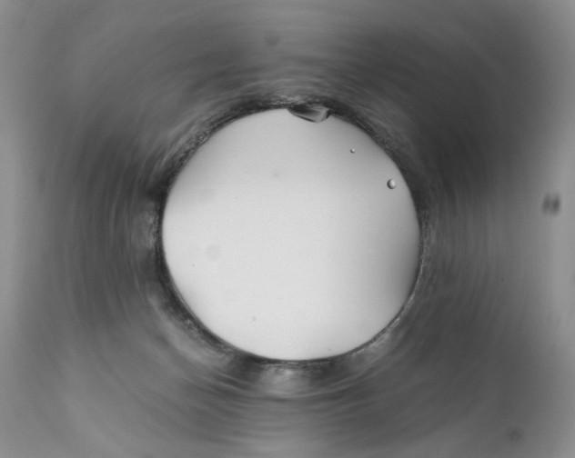 X0000110930174200907091529