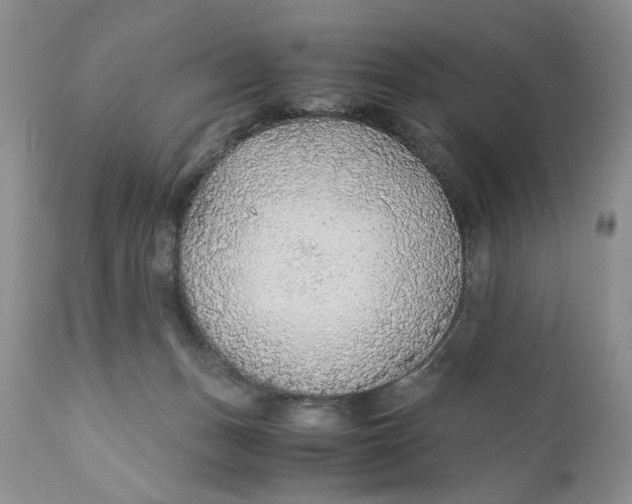 X0000110930175200907091529