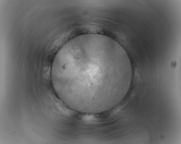 X0000110930177200907091529