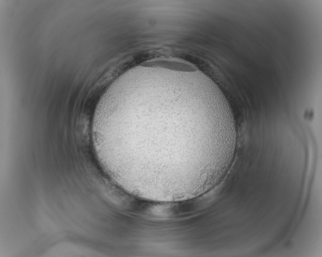 X0000110930178200907091529