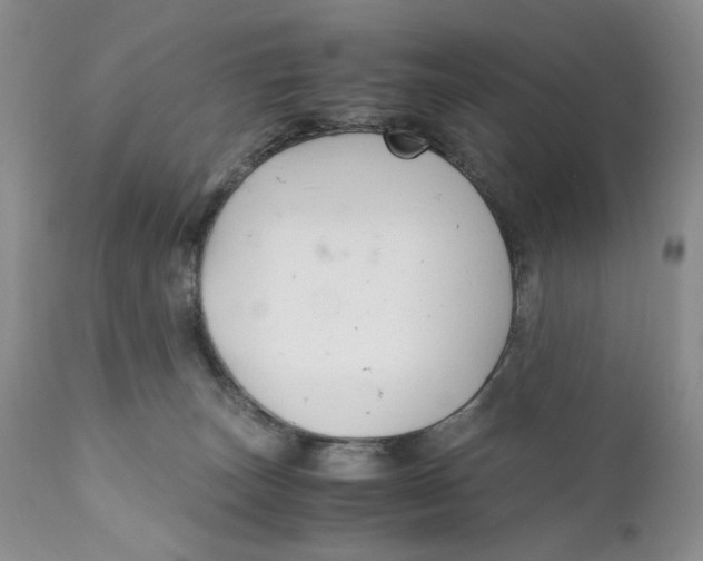 X0000110930179200907091530