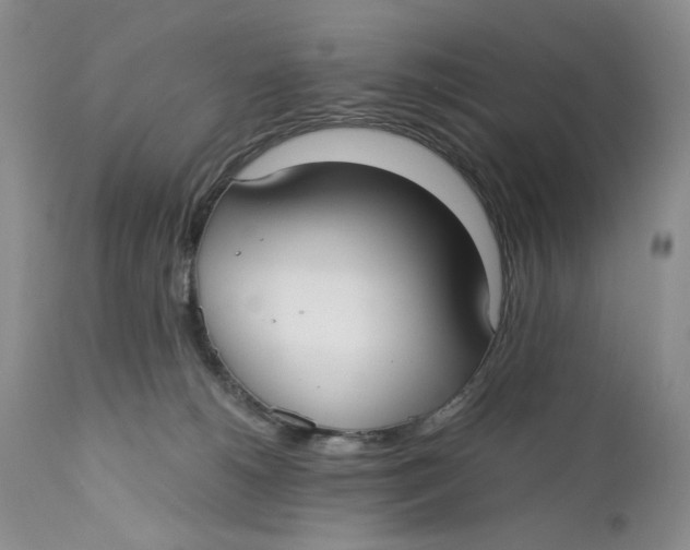 X0000110930180200907091530
