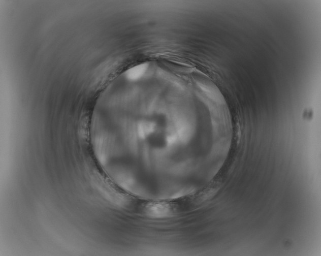 X0000110930181200907091530