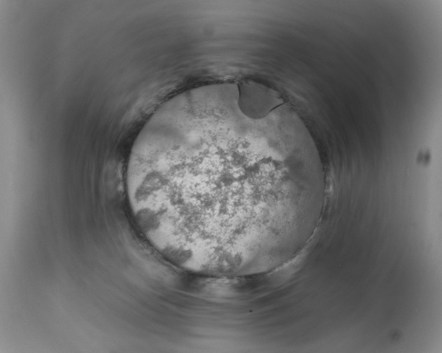X0000110930182200907091530