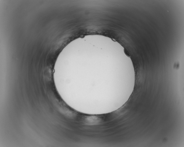 X0000110930183200907091530