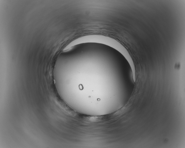 X0000110930184200907091530