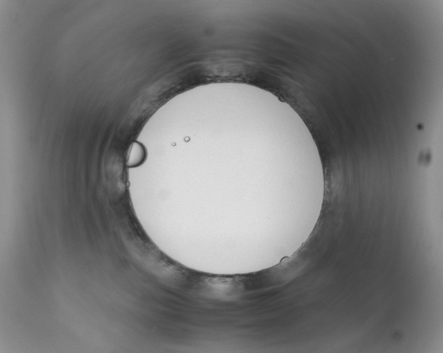 X0000110930187200907091530