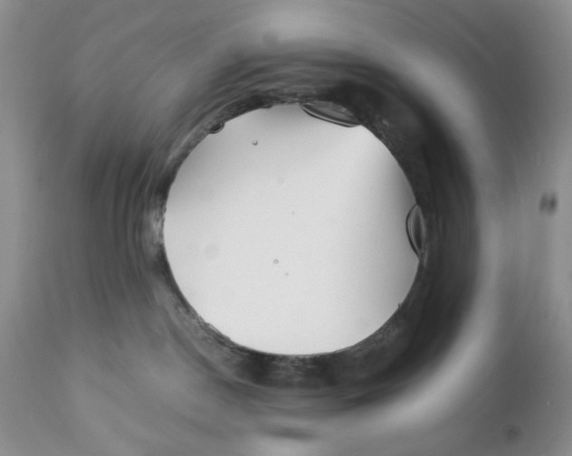 X0000110930190200907091530
