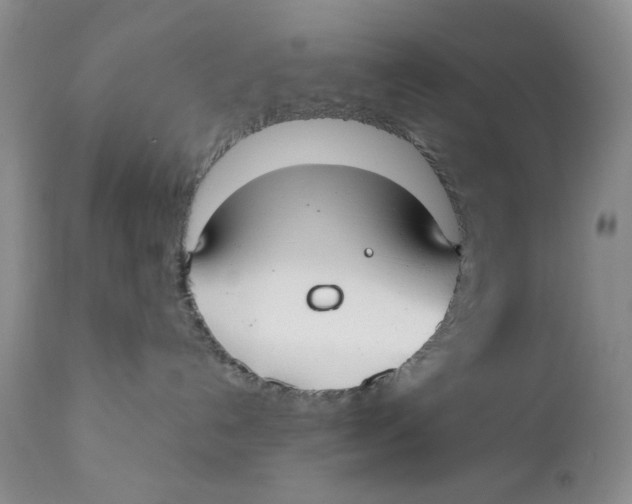 X0000110930192200907091530