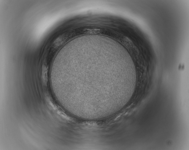 X0000110930194200907091529