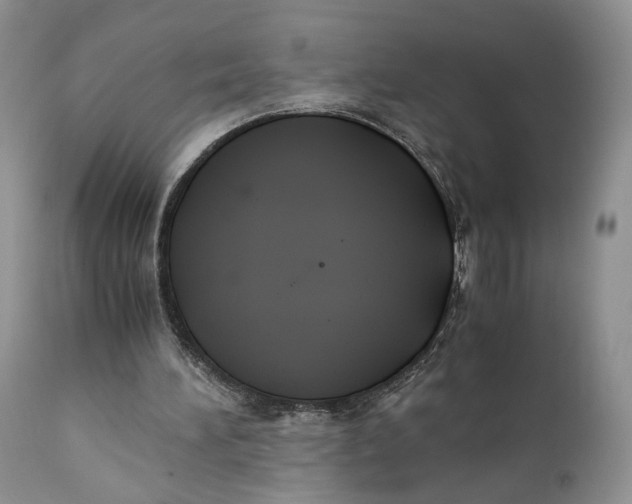 X0000110930196200907091529