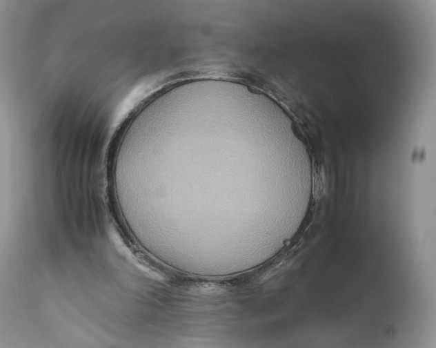 X0000110930198200907091529