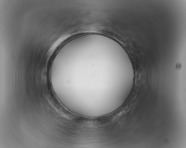 X0000110930200200907091529