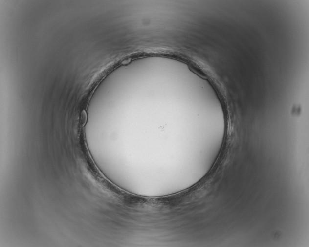 X0000110930201200907091529