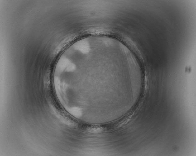 X0000110930202200907091529