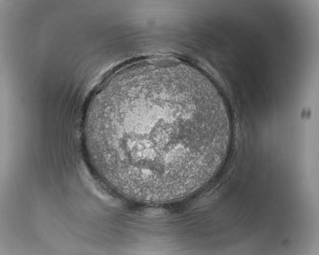 X0000110930203200907091529