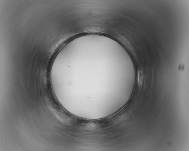 X0000110930204200907091529