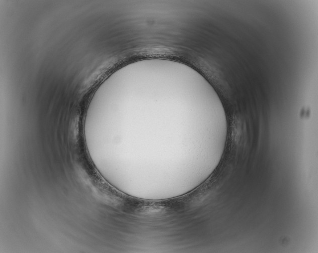 X0000110930206200907091529