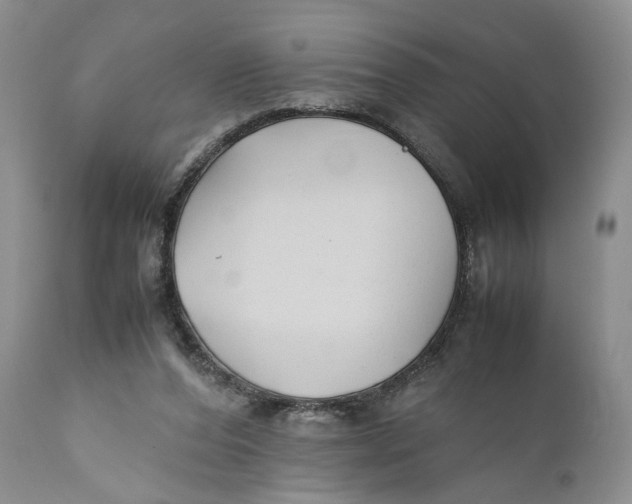X0000110930208200907091529