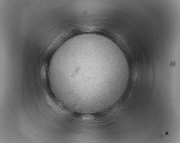 X0000110930214200907091529