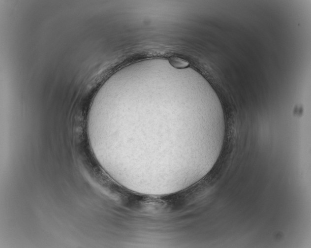 X0000110930215200907091529