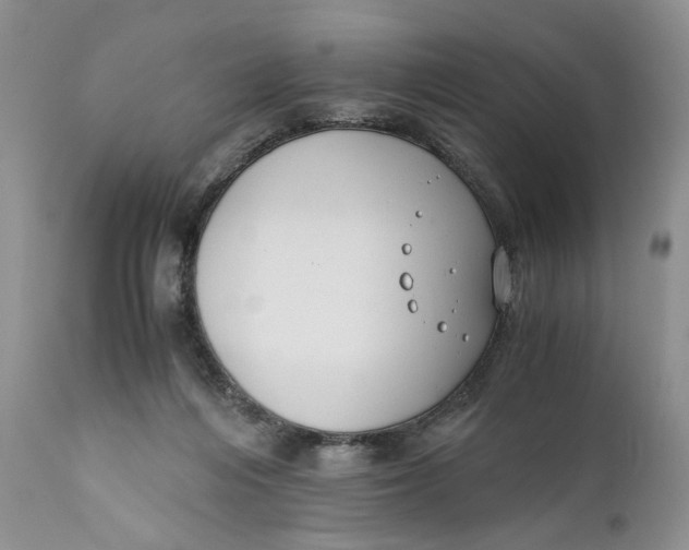 X0000110930216200907091529