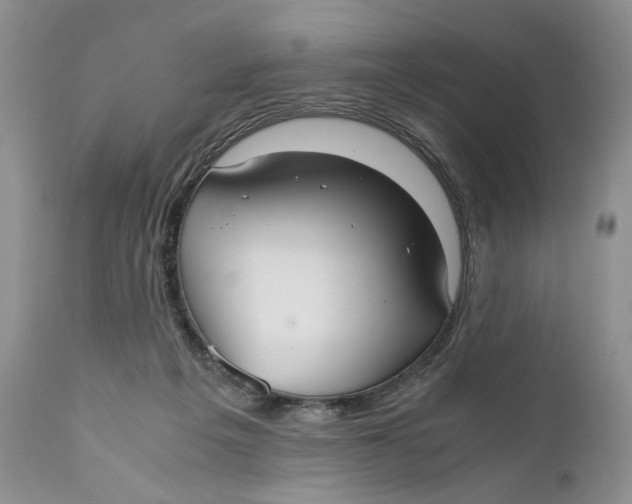 X0000110930217200907091529