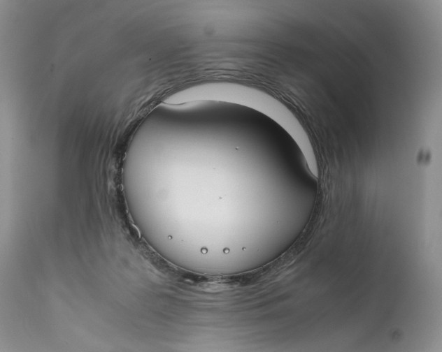 X0000110930219200907091528