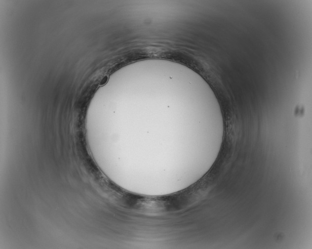 X0000110930221200907091528