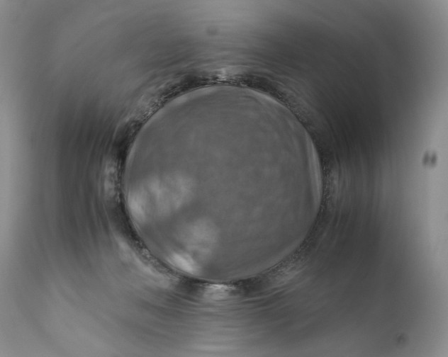 X0000110930222200907091528