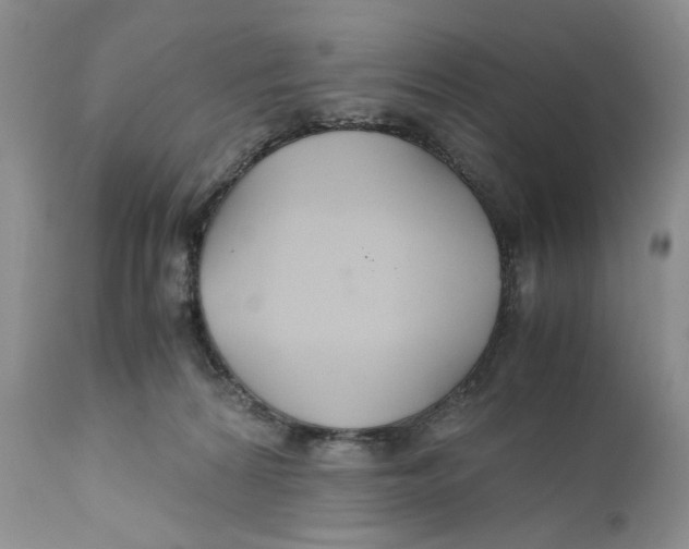 X0000110930224200907091528