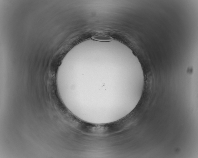 X0000110930225200907091528