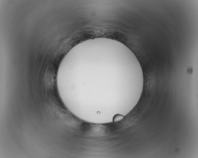 X0000110930226200907091528