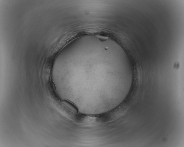 X0000110930227200907091528