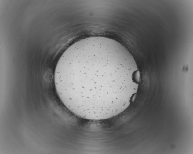 X0000110930228200907091528