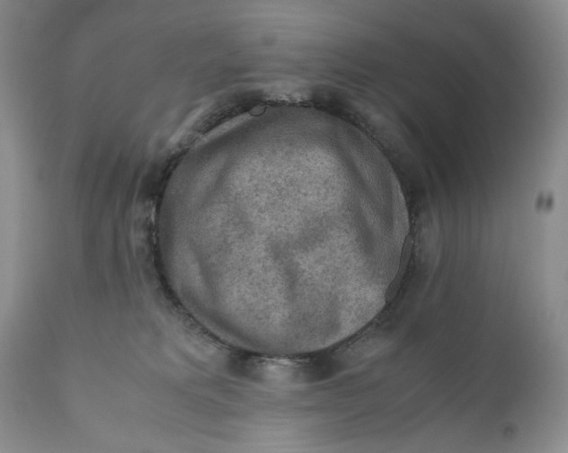 X0000110930229200907091528